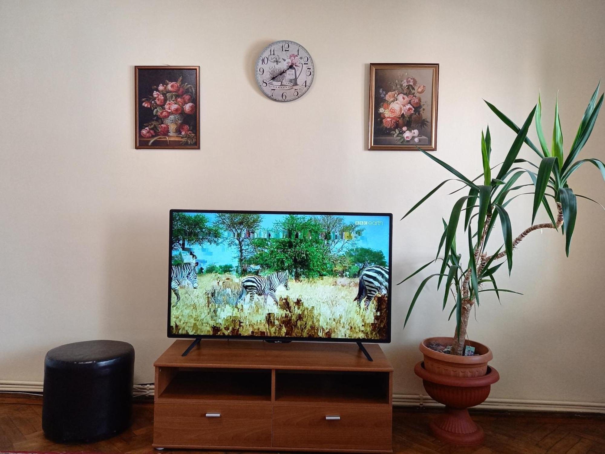 Apartment Autentic